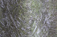 Parslows Hillock fibreglass roof work